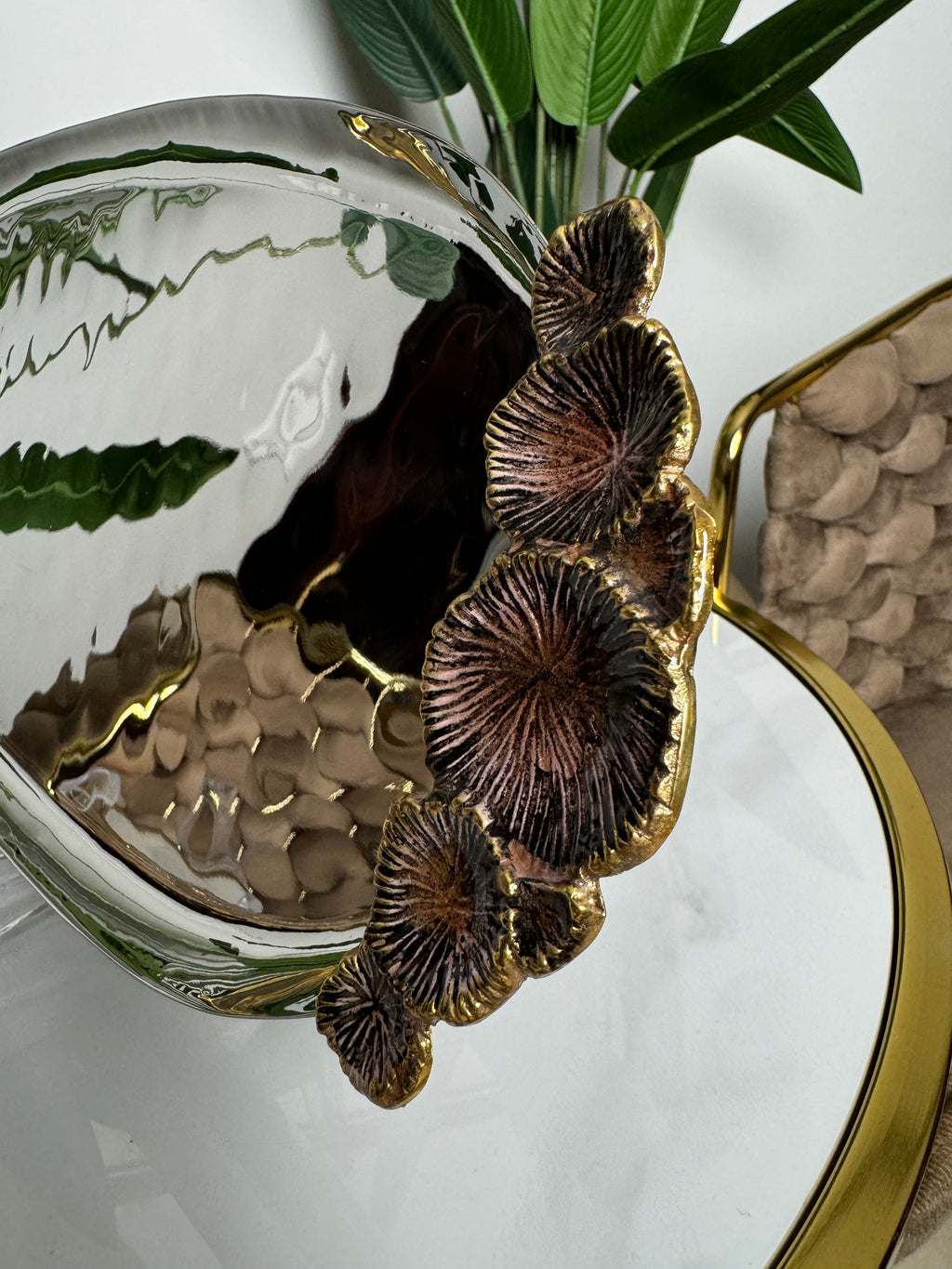 Collection British Chromé 👑🌿